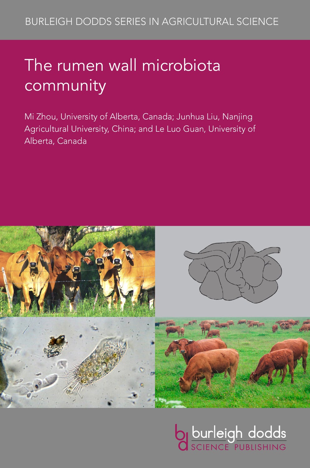 Book cover image for The rumen wall microbiota community ISBN: 9781786768001
